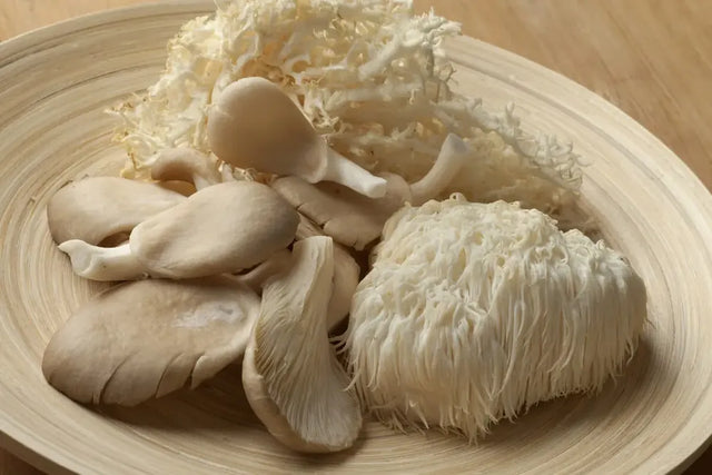 Hongos Melena de León sobre un plato de madera